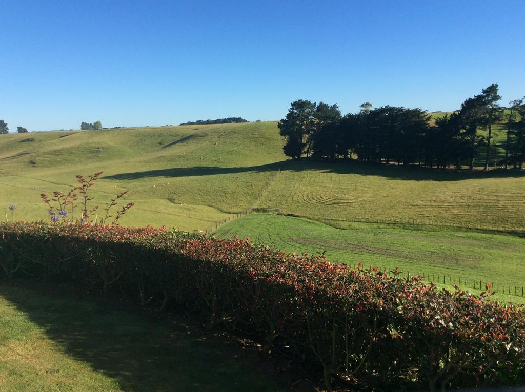Ataahua Homestay Feilding Bagian luar foto